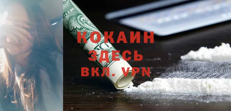 COCAIN 99% Камышлов