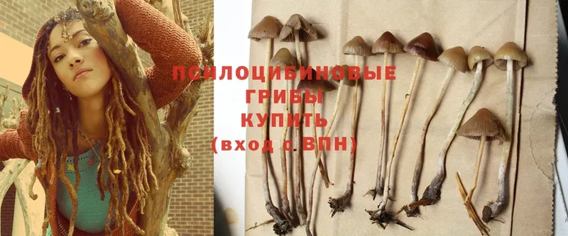 Галлюциногенные грибы MAGIC MUSHROOMS  hydra зеркало  Камышлов 